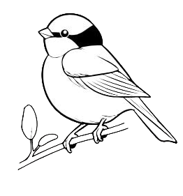 Chickadee Creations